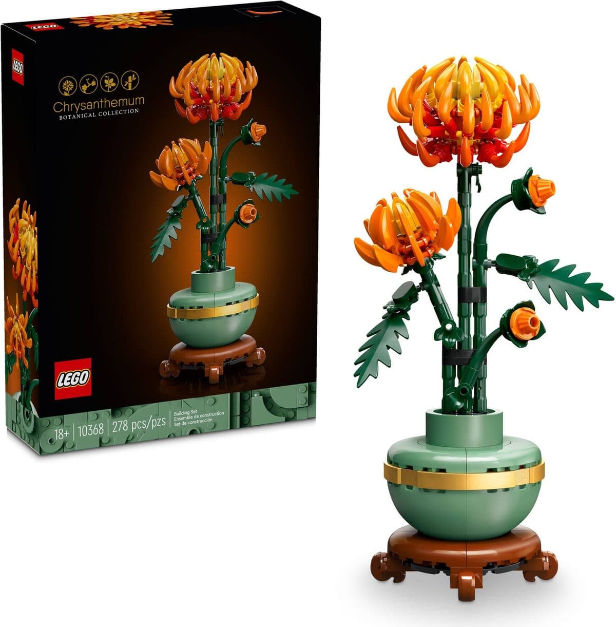 菊花