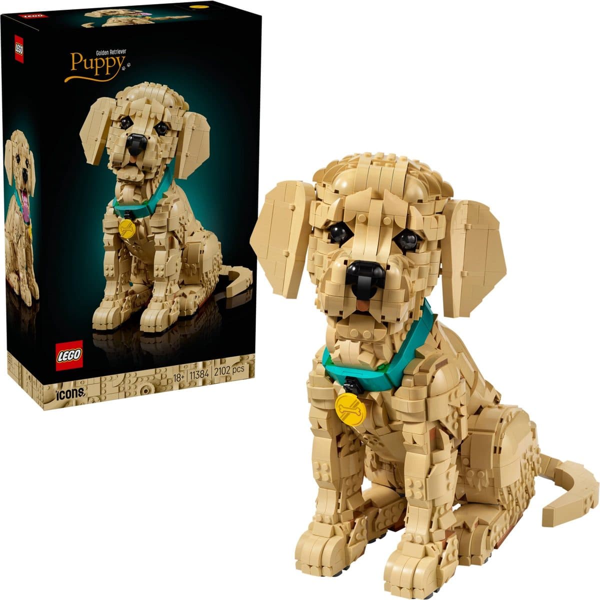 小黃金獵犬 