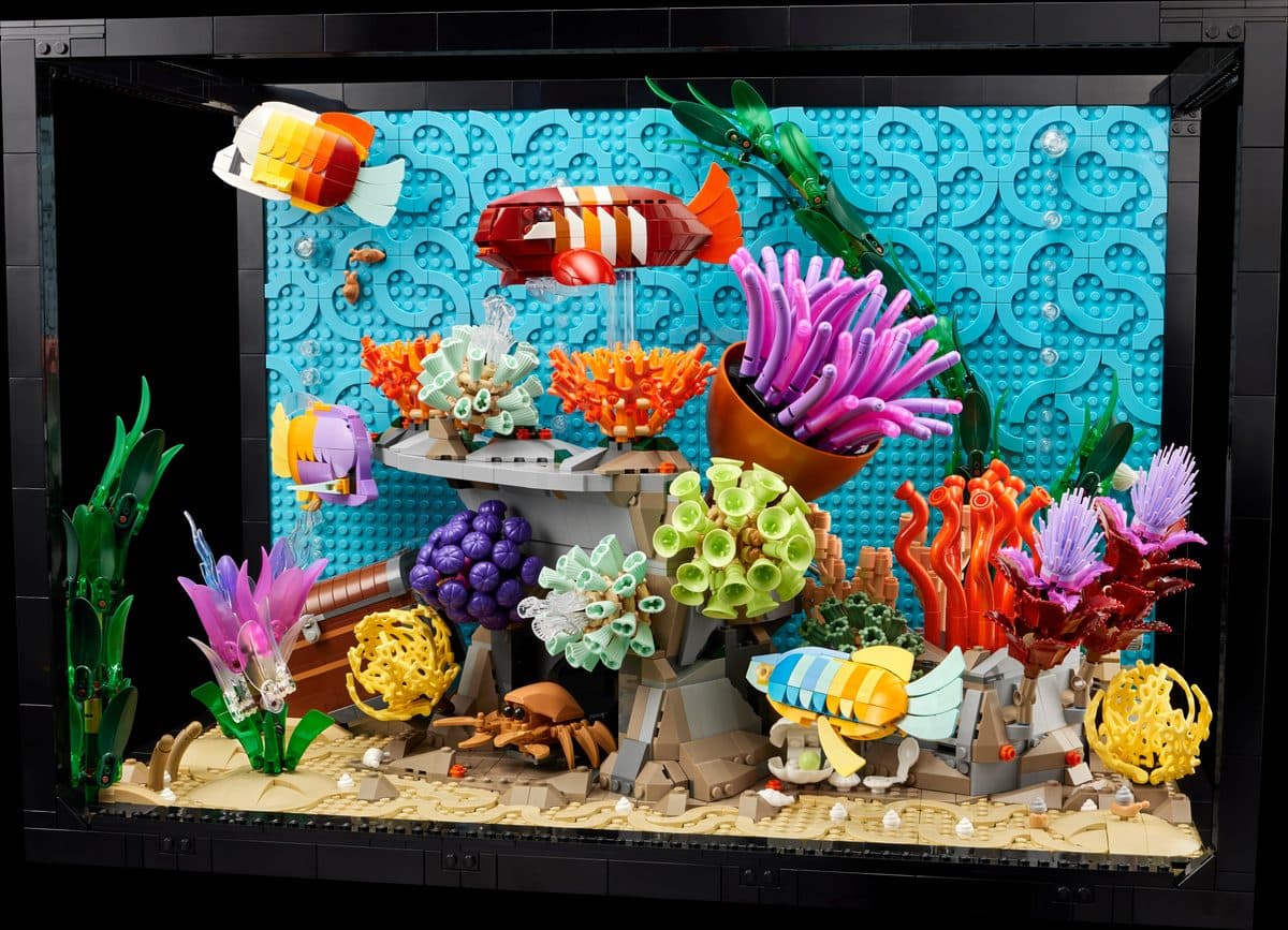 熱帶水族箱
