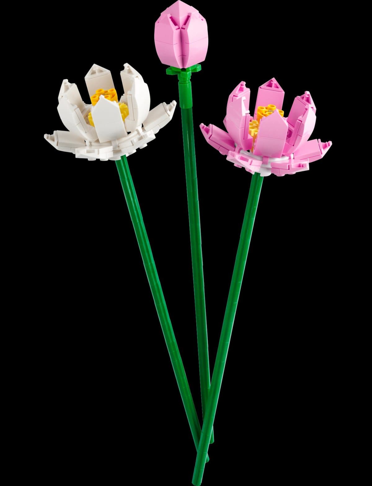 蓮花
