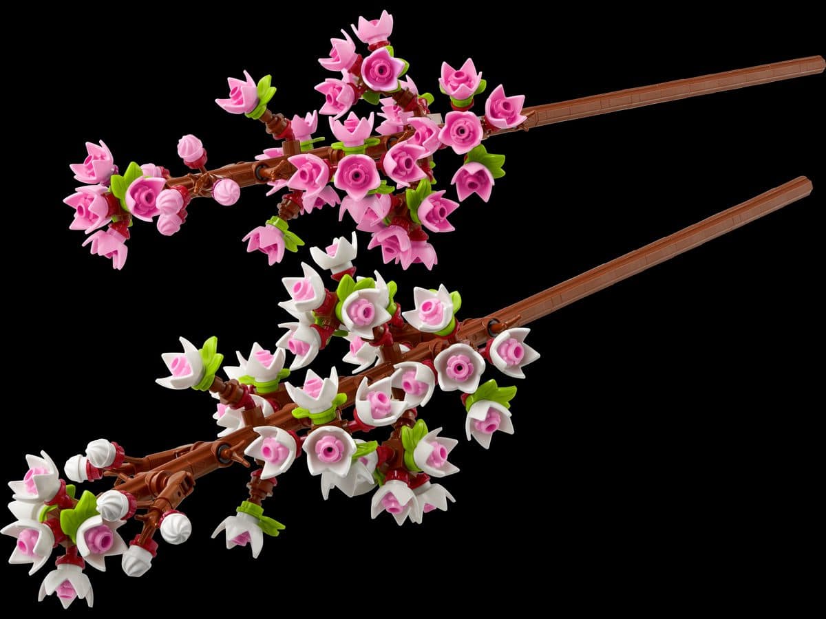櫻花