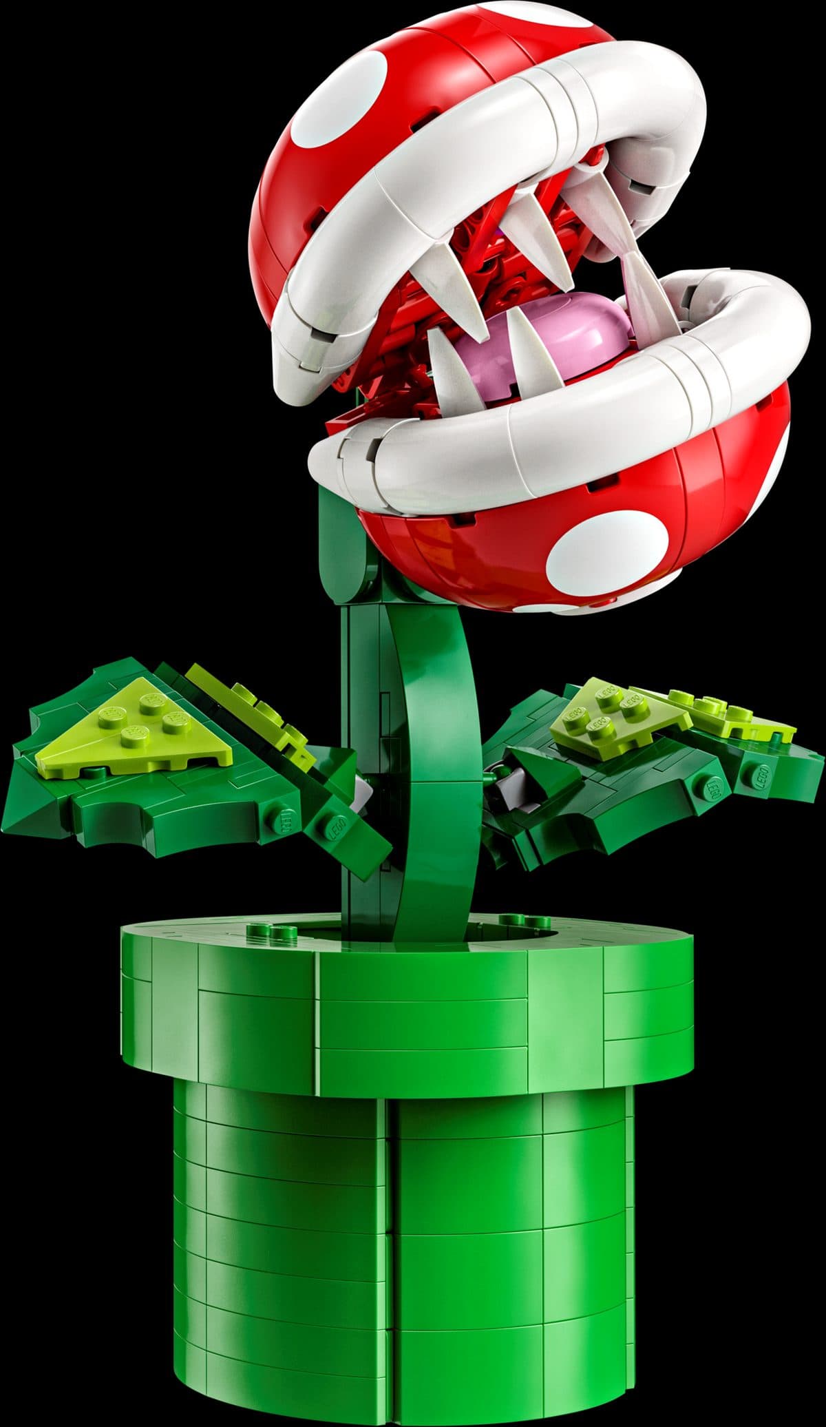 吞食花